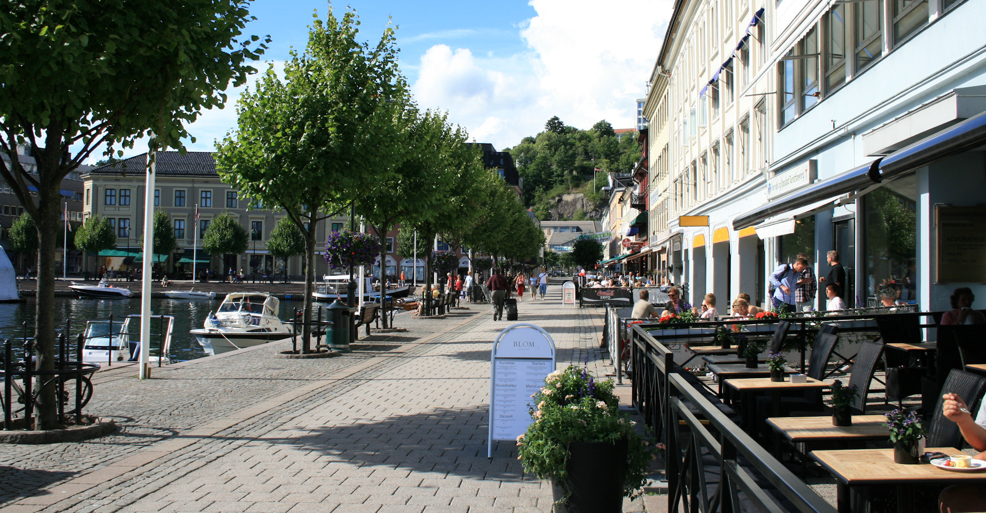 008 Innerste delen av pollen-foto Geir Johansen.jpg
