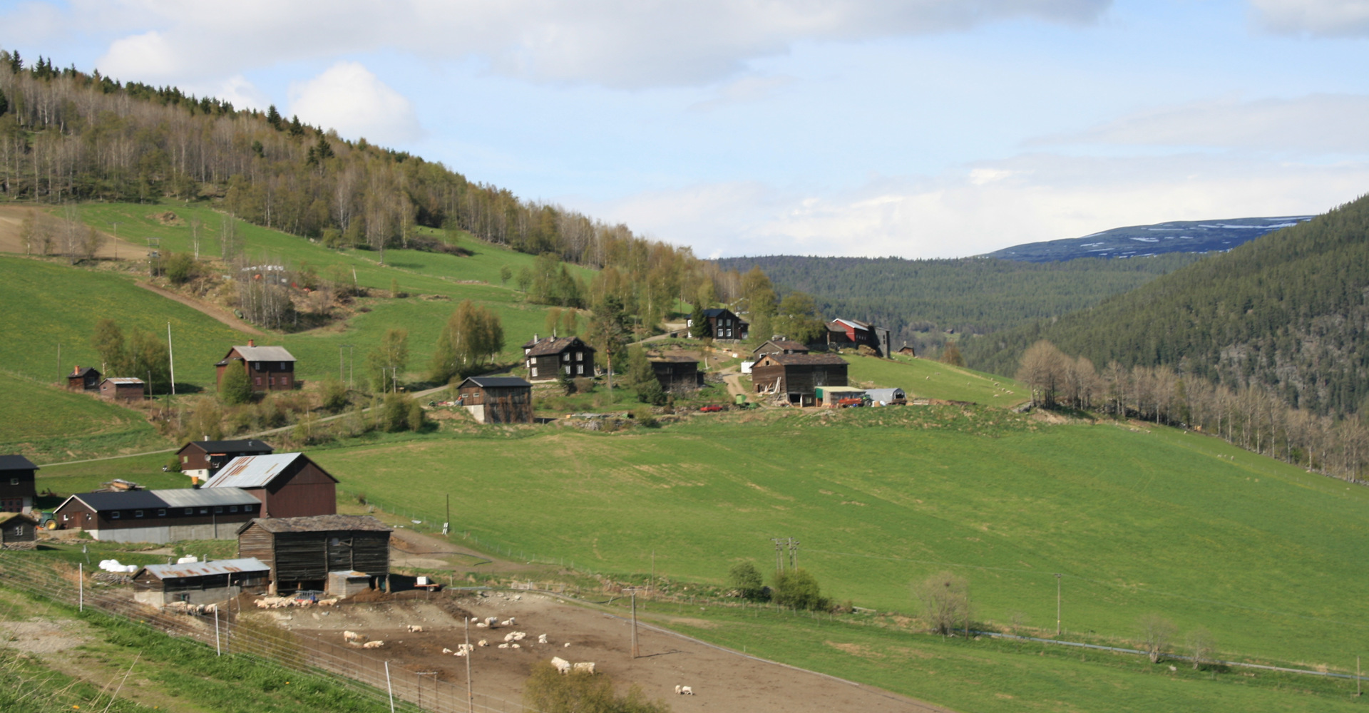 012 Garder i Gudbrandsdalen - Foto Geir Johansen.jpg