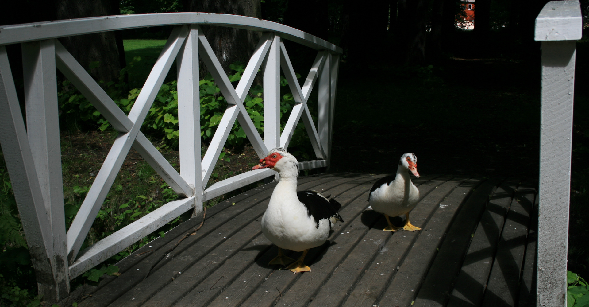 006 Gulskogen gård - Foto Geir Johansen.jpg