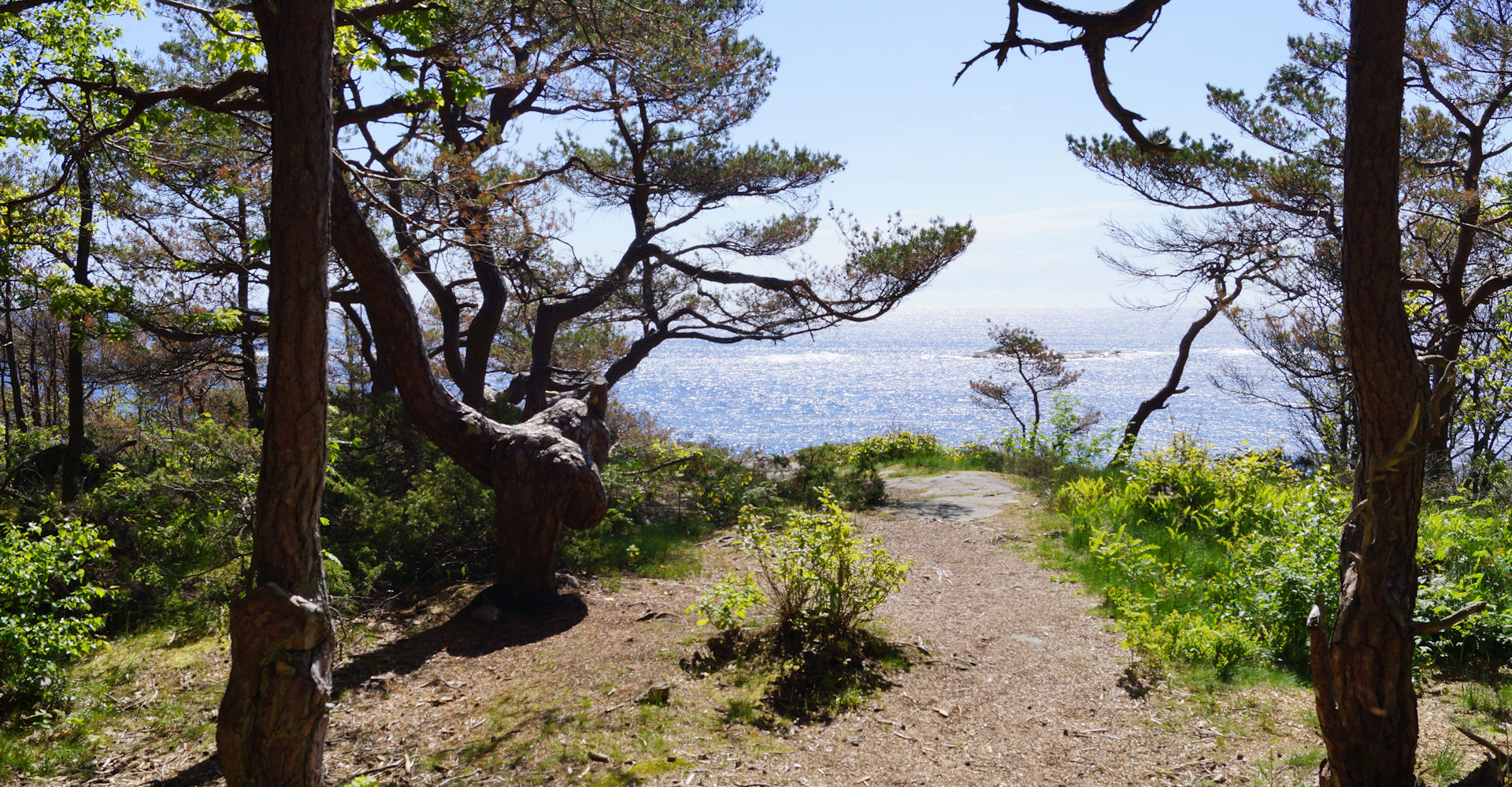 003 - Hove og Hoveskogen - Foto Geir Johansen.jpg