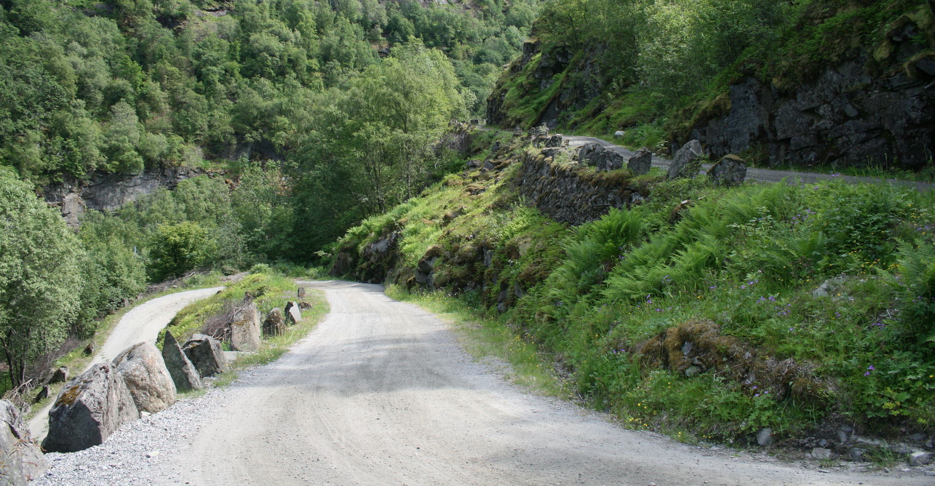 Flåmsdalen 005 A smale veier - foto Geir Johansen.jpg