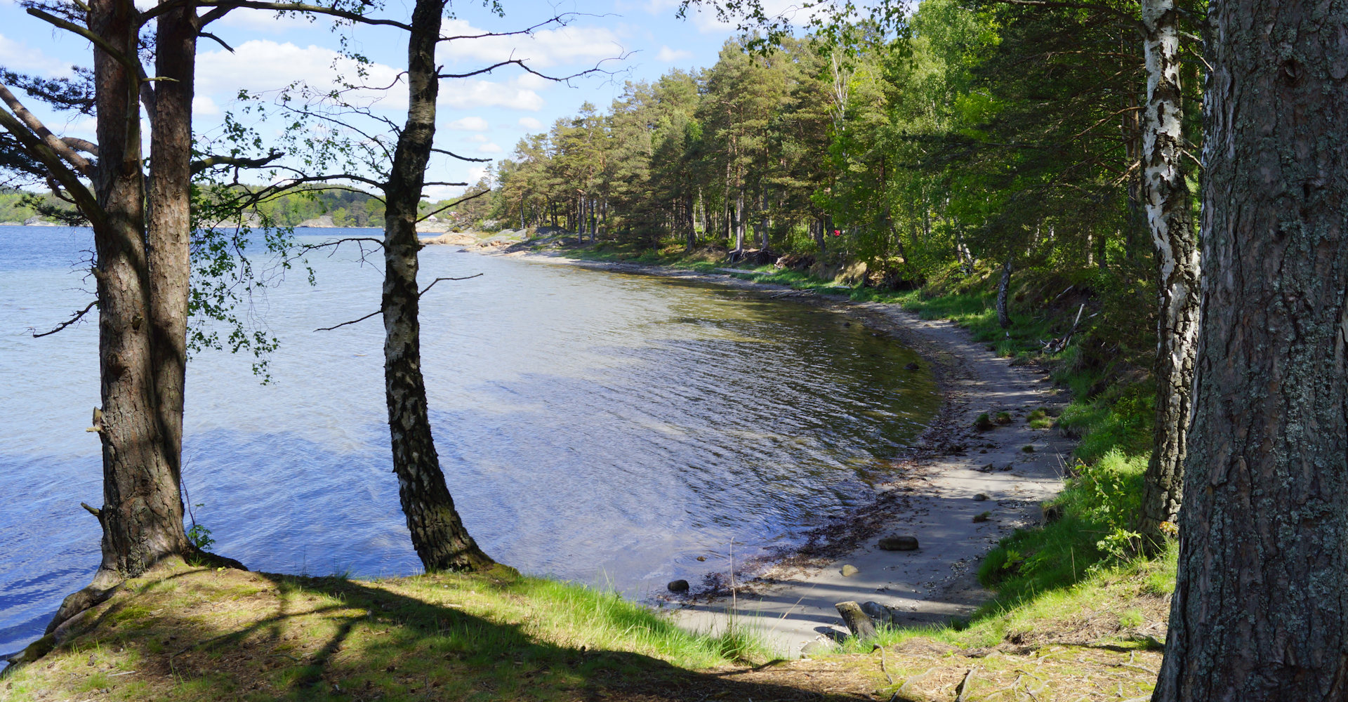 015 - Hove og Hoveskogen - Foto Geir Johansen.jpg