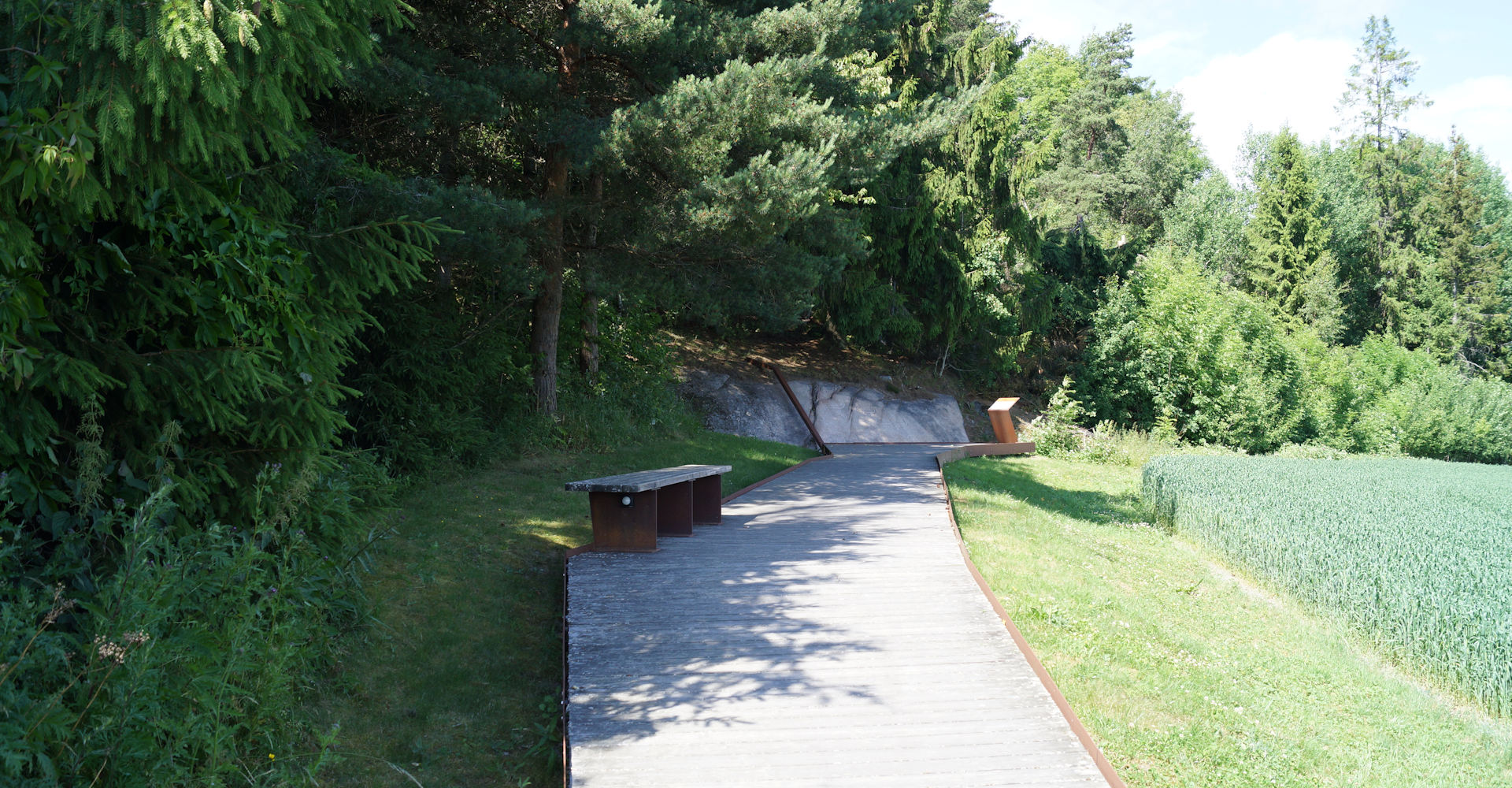 005 Solbergfeltet helleristninger - Foto Geir Johansen.jpg