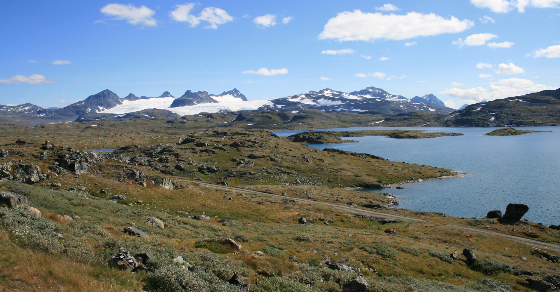 018 Fjellnatur på Sognefjellet - Foto Geir Johansen.jpg