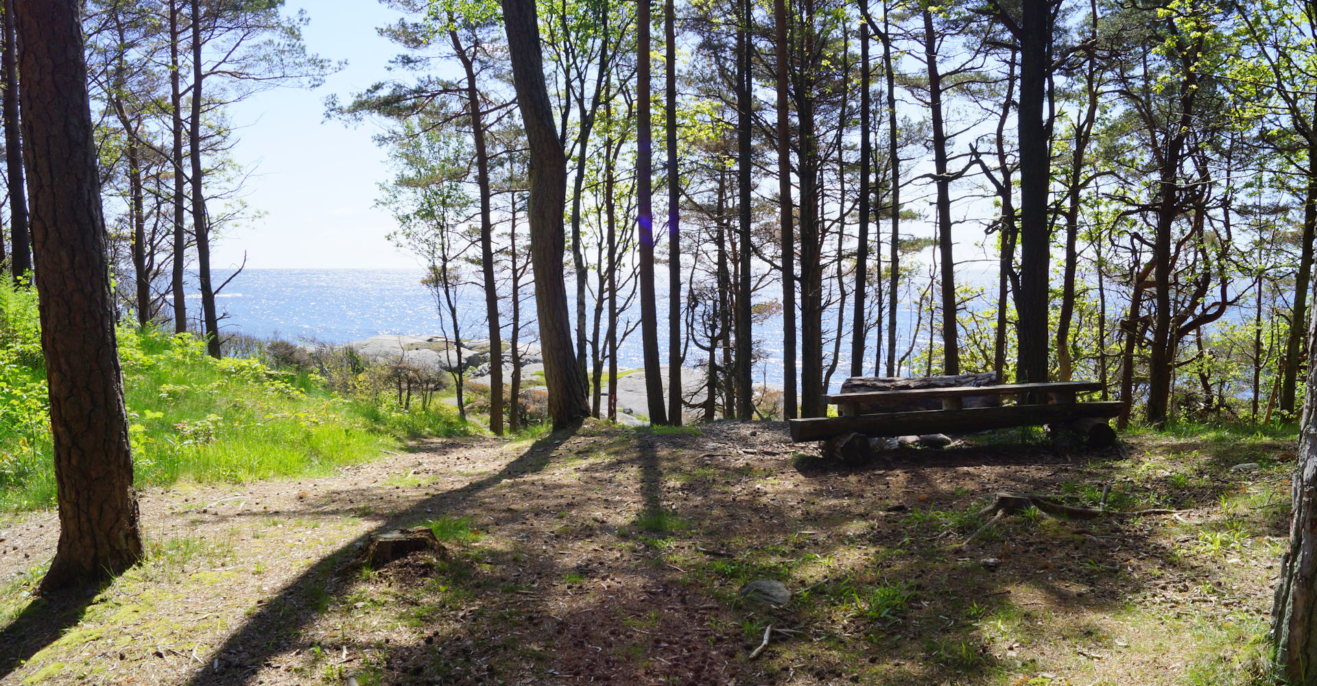 007 - Hove og Hoveskogen - Foto Geir Johansen.jpg