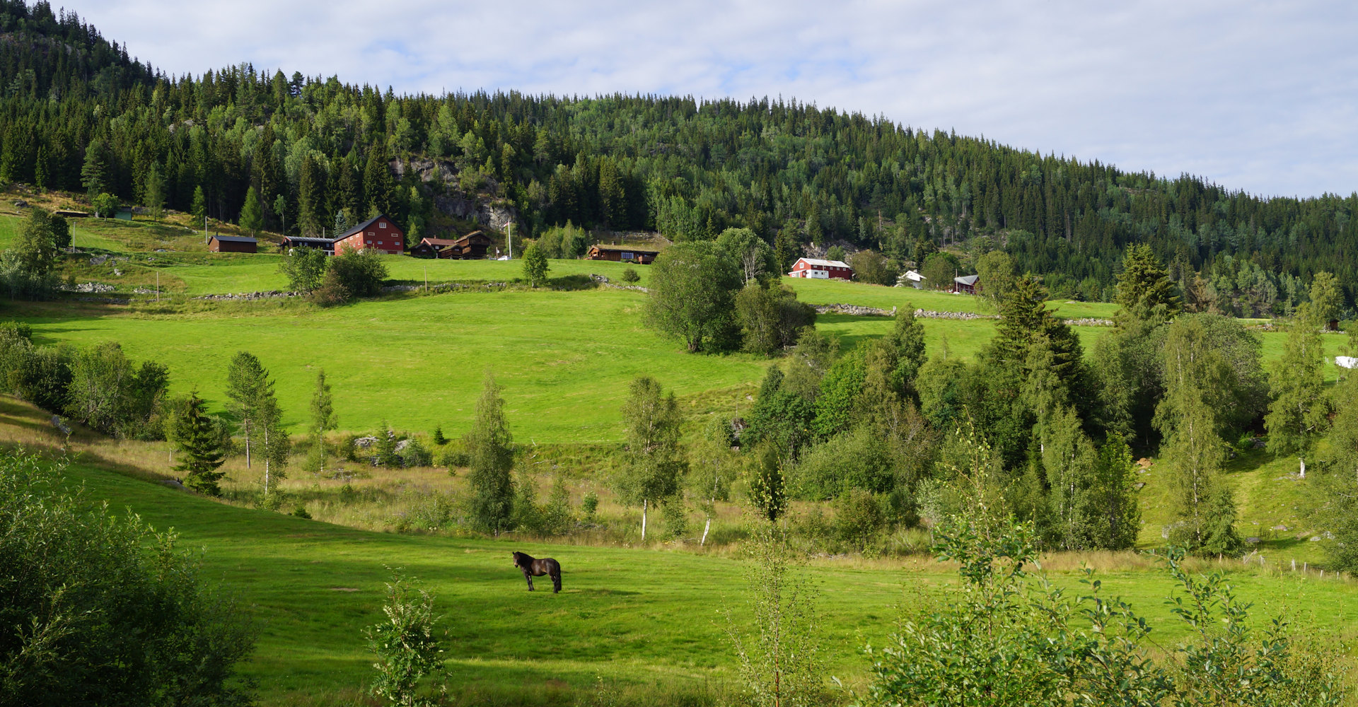 Morgedal 003-foto Geir Johansen.jpg
