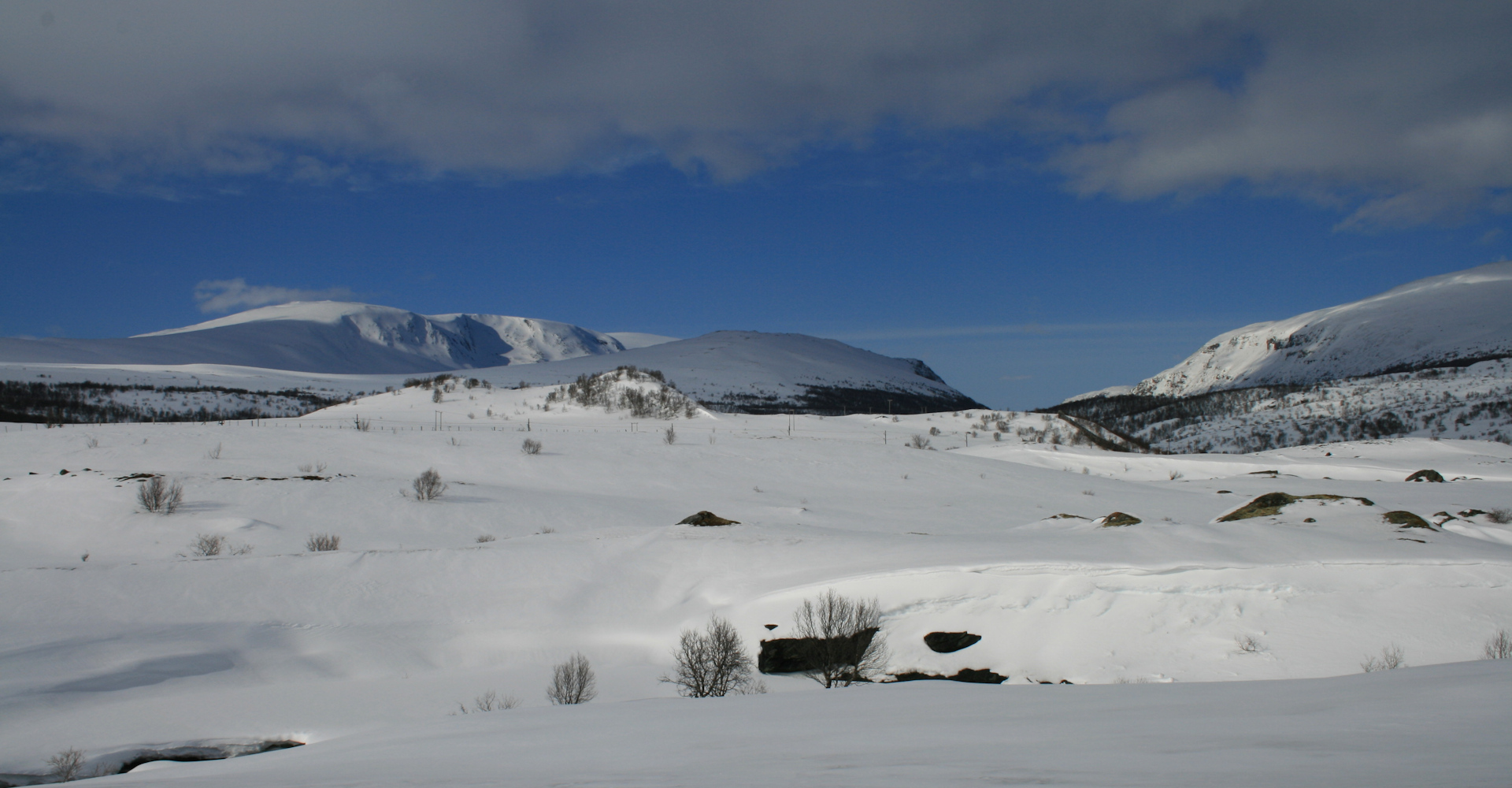 Vinternatur ved Oppdal - Foto Geir Johansen.jpg