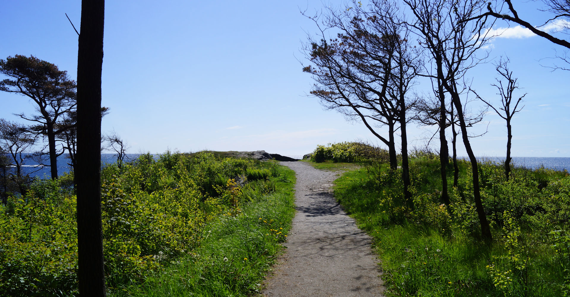 018 - Hove og Hoveskogen - Foto Geir Johansen.jpg