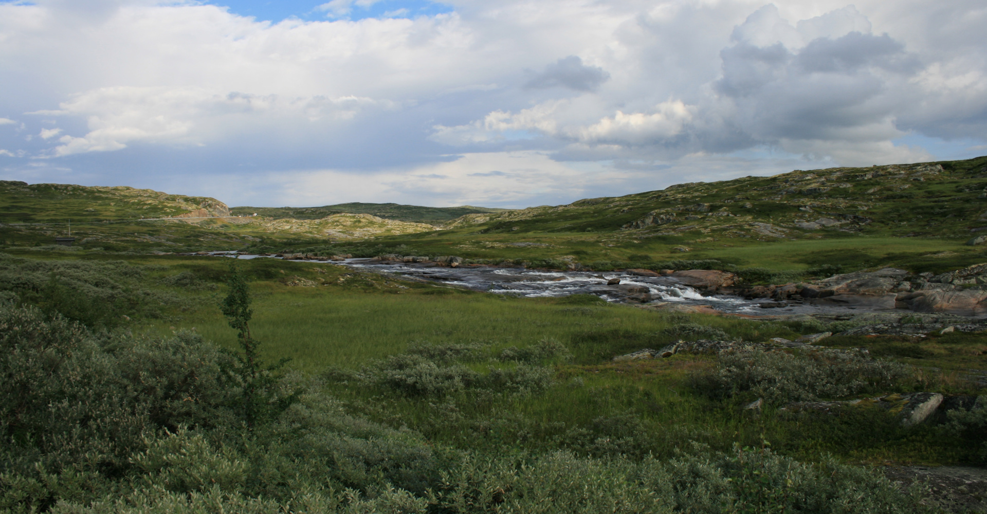 IMG_2905 Hardangervidda-foto Geir Johansen.jpg