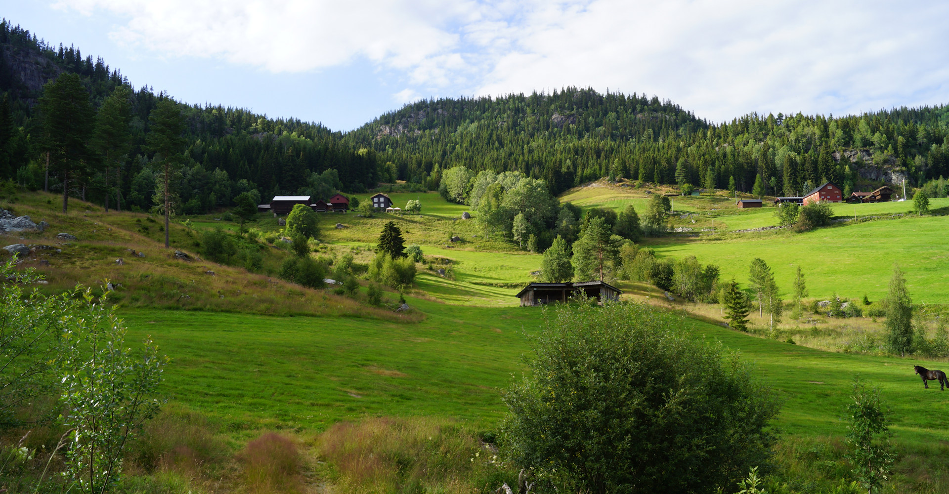 Morgedal 008-foto Geir Johansen.jpg