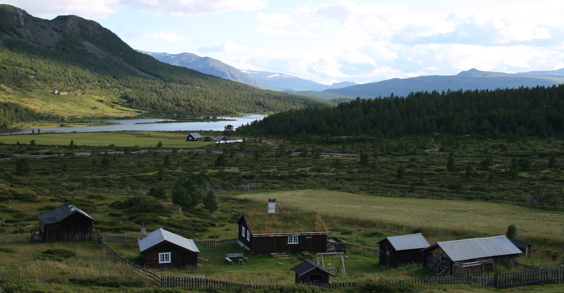 0014 Nydelig ved Hindsæter-foto Geir Johansen.jpg