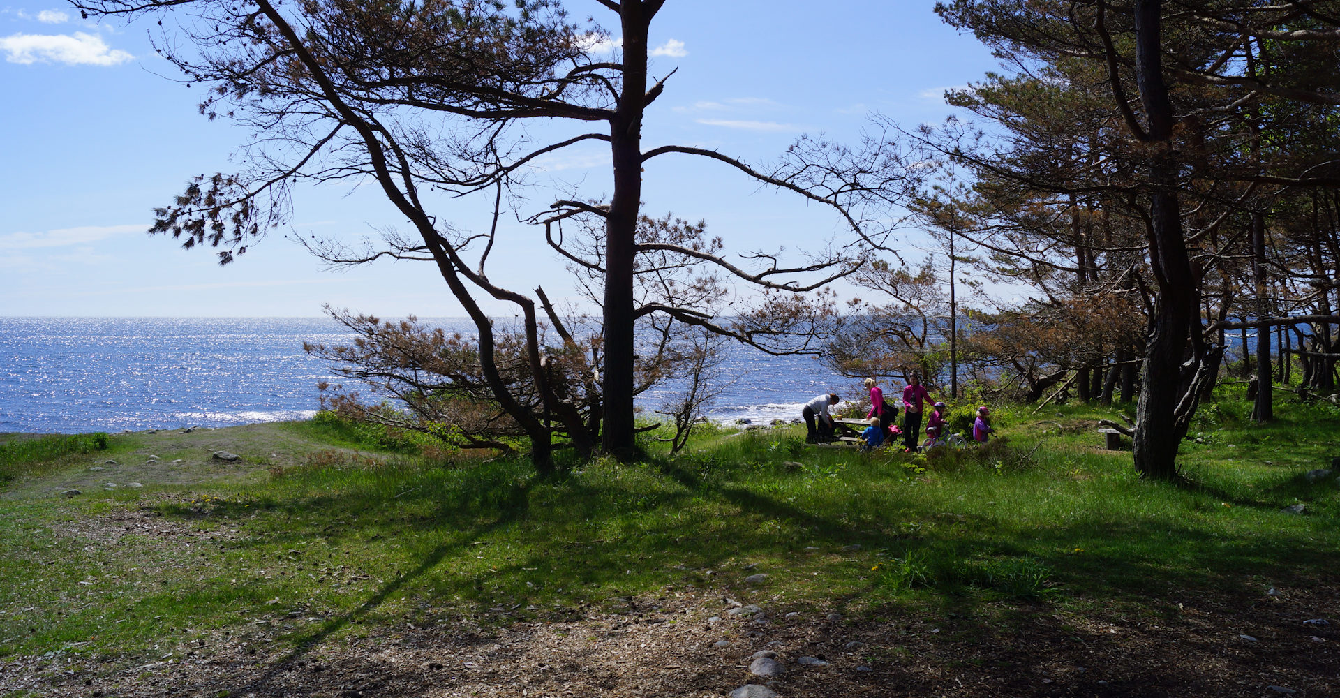 013 - Hove og Hoveskogen - Foto Geir Johansen.jpg