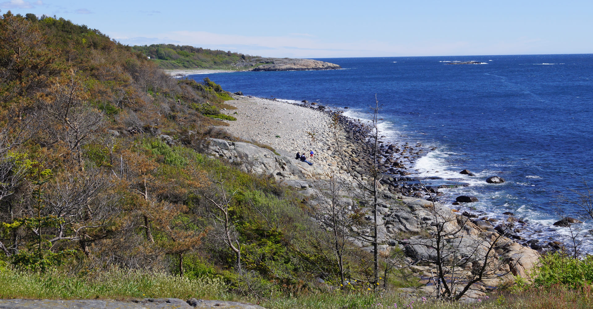 006 - Hove og Hoveskogen - Foto Geir Johansen.jpg