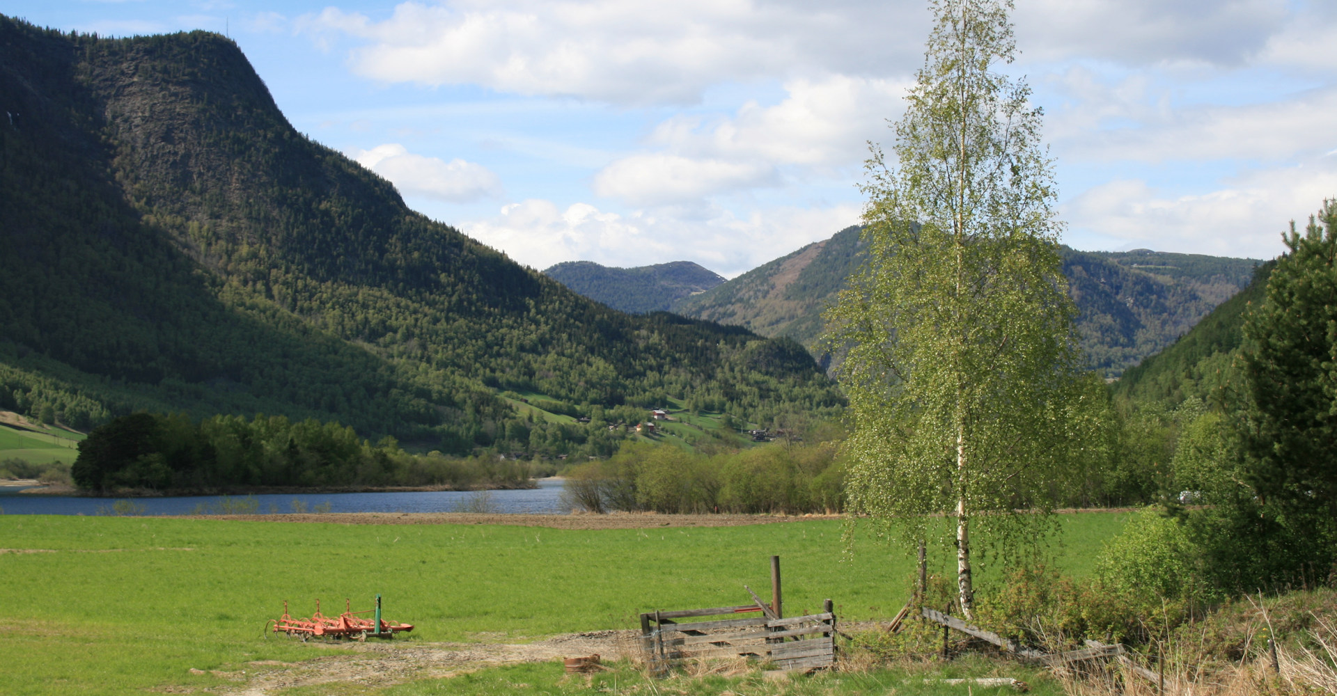 011 Natur i Gudbrandsdalen - Foto Geir Johansen.jpg