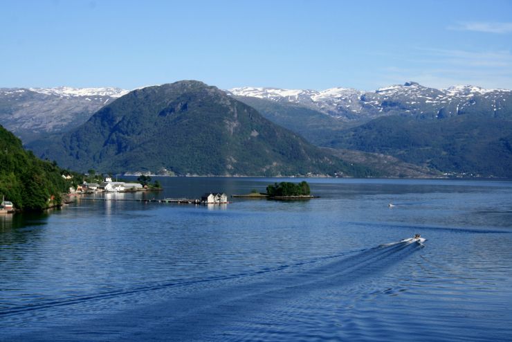 IMG_5300 Steinstø og Rossholmen steinstø er en stor fruktgard - foto Geir Johansen.jpg